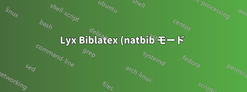 Lyx Biblatex (natbib モード) では、参考文献セクションに第一著者名のみが表示されます。
