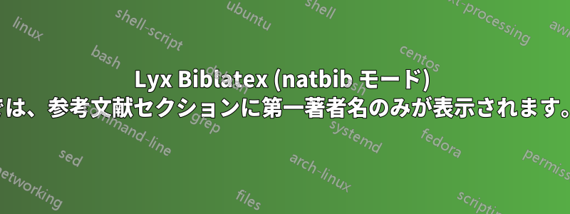 Lyx Biblatex (natbib モード) では、参考文献セクションに第一著者名のみが表示されます。