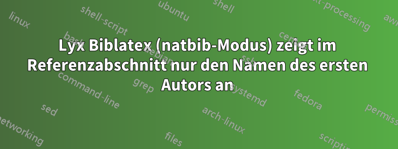 Lyx Biblatex (natbib-Modus) zeigt im Referenzabschnitt nur den Namen des ersten Autors an