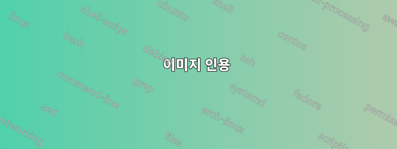 이미지 인용