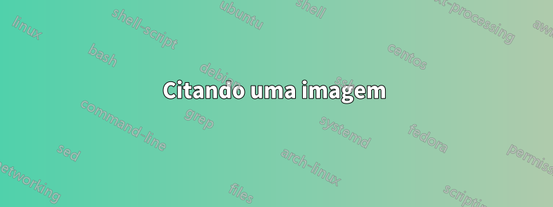 Citando uma imagem