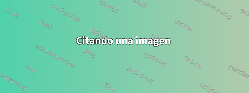 Citando una imagen