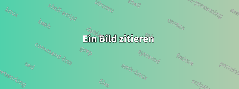 Ein Bild zitieren