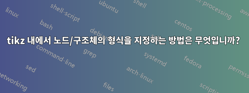 tikz 내에서 노드/구조체의 형식을 지정하는 방법은 무엇입니까?