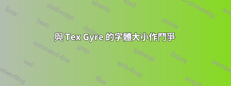 與 Tex Gyre 的字體大小作鬥爭