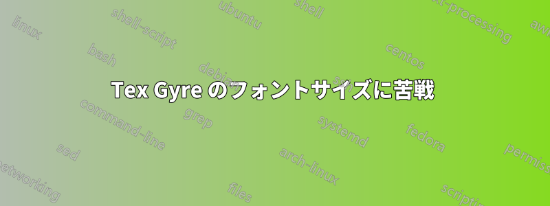 Tex Gyre のフォントサイズに苦戦
