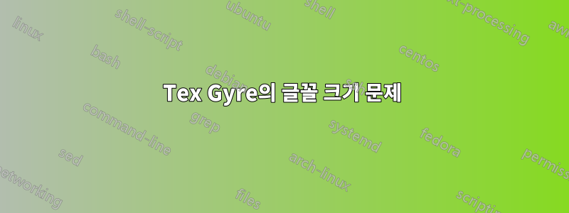 Tex Gyre의 글꼴 크기 문제