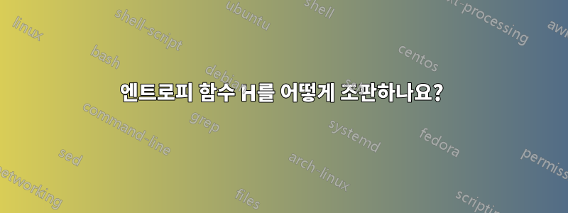 엔트로피 함수 H를 어떻게 조판하나요?