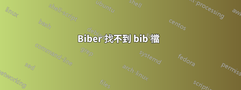 Biber 找不到 bib 檔 