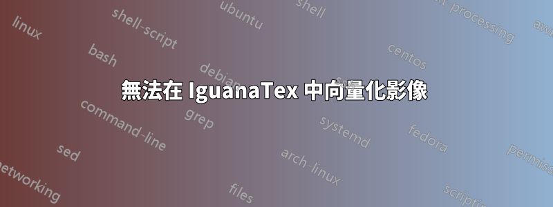 無法在 IguanaTex 中向量化影像