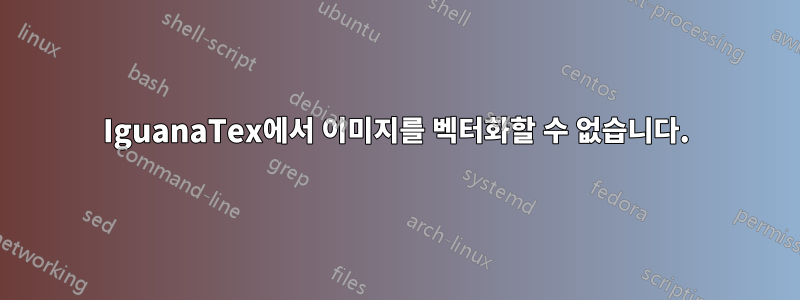 IguanaTex에서 이미지를 벡터화할 수 없습니다.