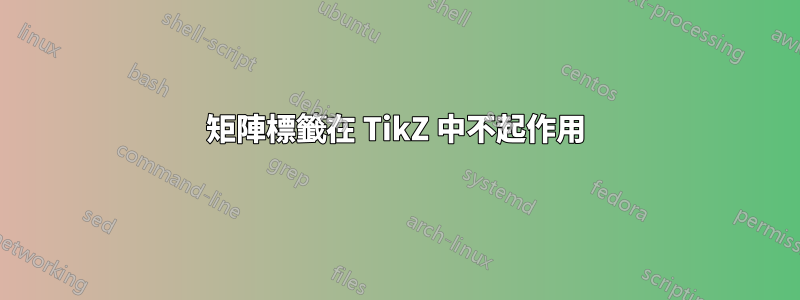 矩陣標籤在 TikZ 中不起作用