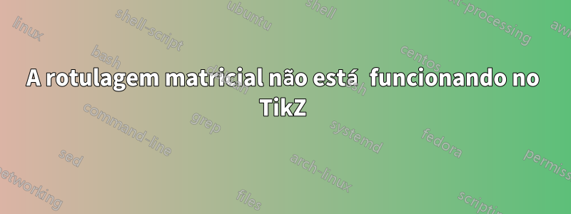 A rotulagem matricial não está funcionando no TikZ