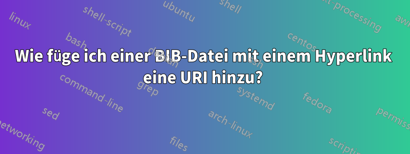 Wie füge ich einer BIB-Datei mit einem Hyperlink eine URI hinzu?