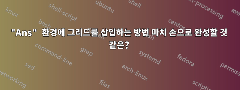 "Ans" 환경에 그리드를 삽입하는 방법 마치 손으로 완성할 것 같은?