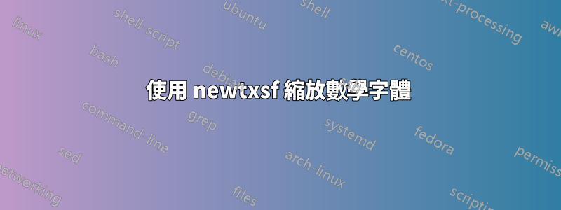 使用 newtxsf 縮放數學字體