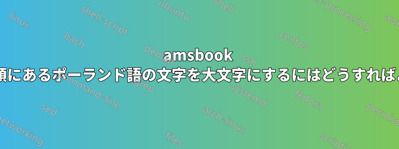 amsbook の各ページの先頭にあるポーランド語の文字を大文字にするにはどうすればよいでしょうか?