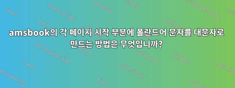 amsbook의 각 페이지 시작 부분에 폴란드어 문자를 대문자로 만드는 방법은 무엇입니까?