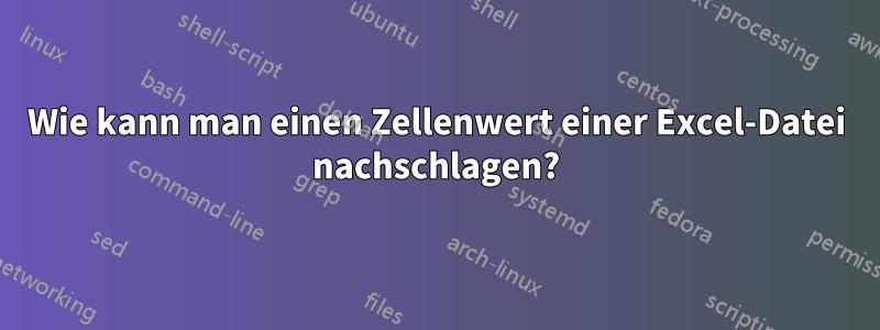 Wie kann man einen Zellenwert einer Excel-Datei nachschlagen?