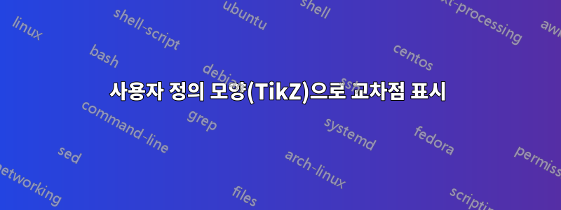 사용자 정의 모양(TikZ)으로 교차점 표시