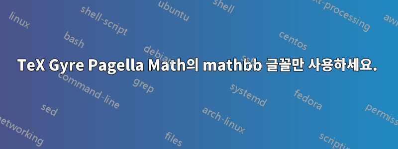 TeX Gyre Pagella Math의 mathbb 글꼴만 사용하세요.