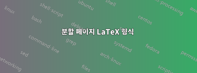 분할 페이지 LaTeX 형식