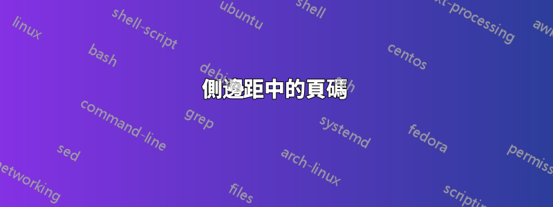 側邊距中的頁碼