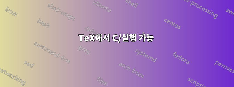 TeX에서 C/실행 가능