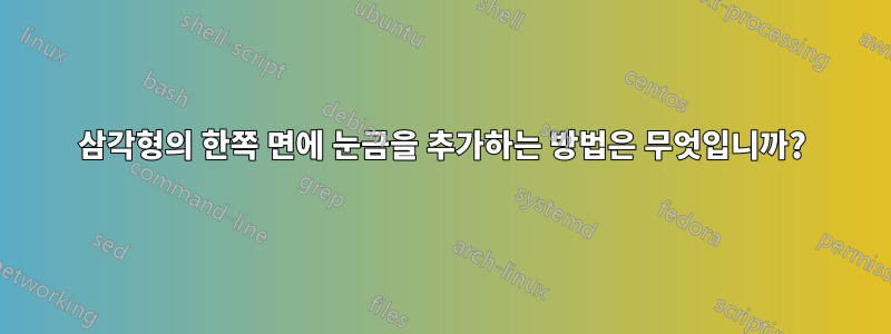 삼각형의 한쪽 면에 눈금을 추가하는 방법은 무엇입니까?