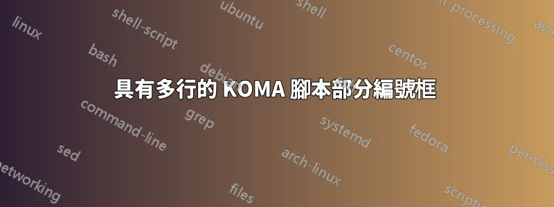 具有多行的 KOMA 腳本部分編號框