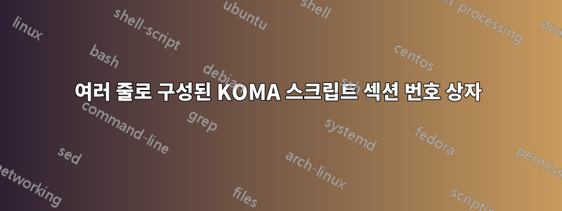 여러 줄로 구성된 KOMA 스크립트 섹션 번호 상자