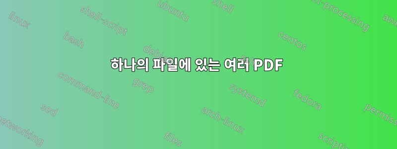 하나의 파일에 있는 여러 PDF