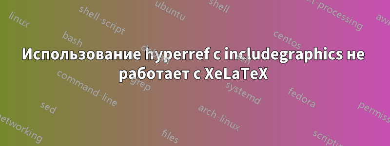 Использование hyperref с includegraphics не работает с XeLaTeX