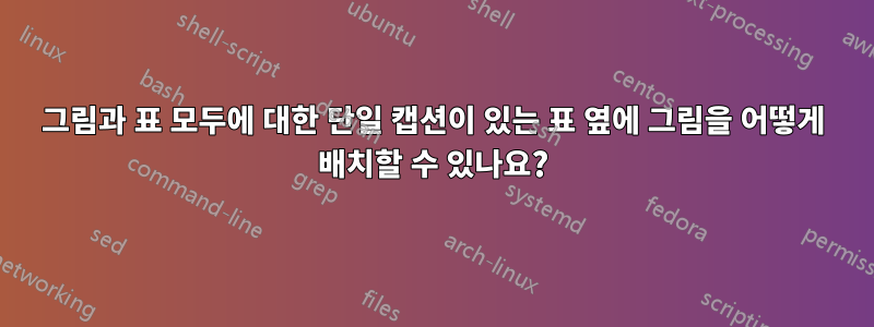 그림과 표 모두에 대한 단일 캡션이 있는 표 옆에 그림을 어떻게 배치할 수 있나요?