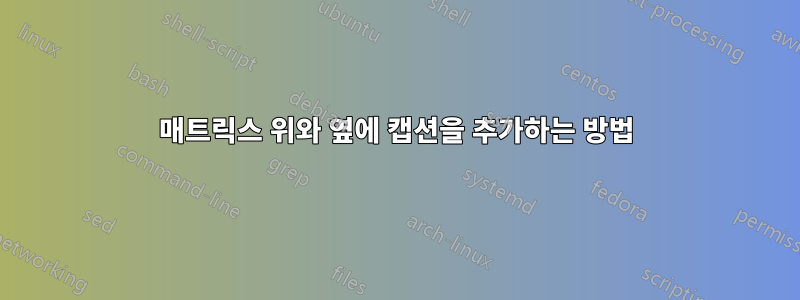 매트릭스 위와 옆에 캡션을 추가하는 방법