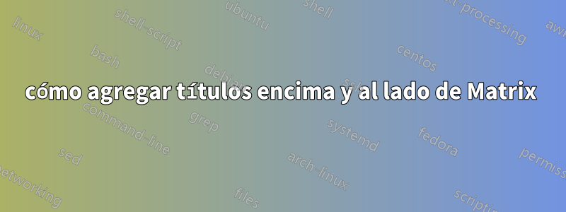 cómo agregar títulos encima y al lado de Matrix