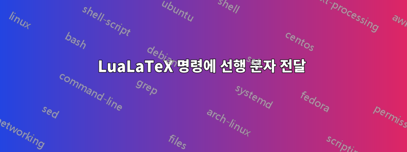 LuaLaTeX 명령에 선행 문자 전달