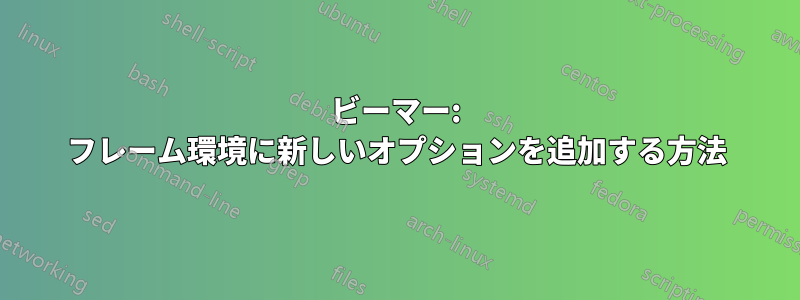 ビーマー: フレーム環境に新しいオプションを追加する方法