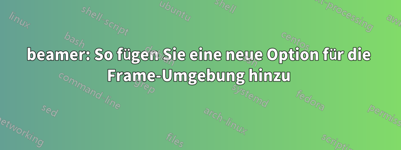 beamer: So fügen Sie eine neue Option für die Frame-Umgebung hinzu