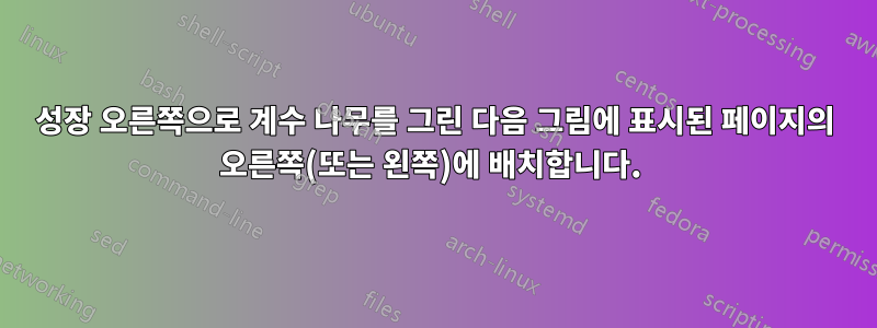 성장 오른쪽으로 계수 나무를 그린 다음 그림에 표시된 페이지의 오른쪽(또는 왼쪽)에 배치합니다. 