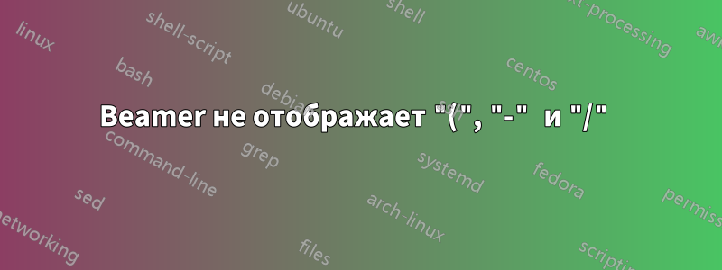 Beamer не отображает "(", "-" и "/"