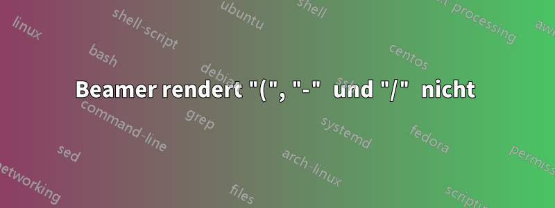 Beamer rendert "(", "-" und "/" nicht
