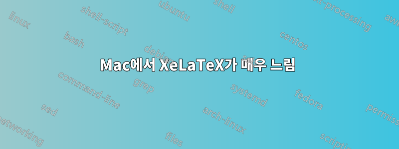 Mac에서 XeLaTeX가 매우 느림