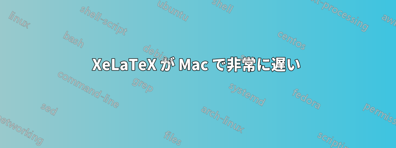 XeLaTeX が Mac で非常に遅い