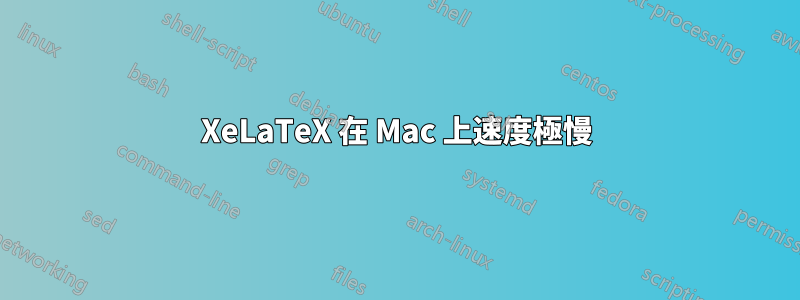 XeLaTeX 在 Mac 上速度極慢
