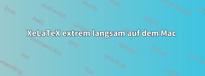 XeLaTeX extrem langsam auf dem Mac