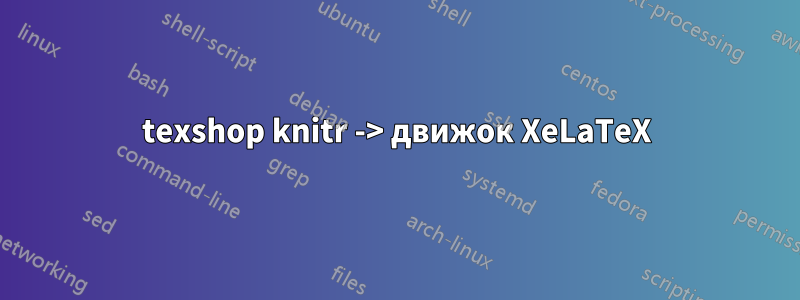 texshop knitr -> движок XeLaTeX
