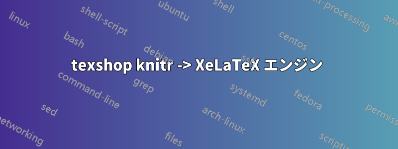 texshop knitr -> XeLaTeX エンジン