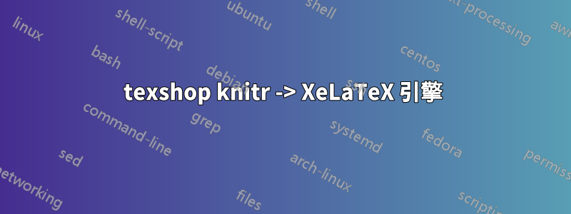 texshop knitr -> XeLaTeX 引擎
