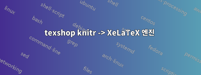 texshop knitr -> XeLaTeX 엔진